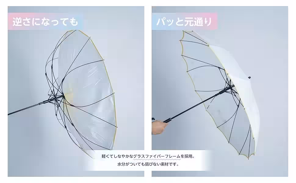 画像11