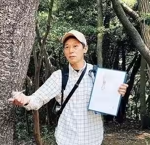 画像8