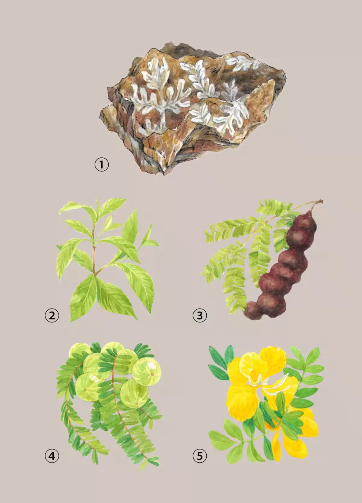 画像18