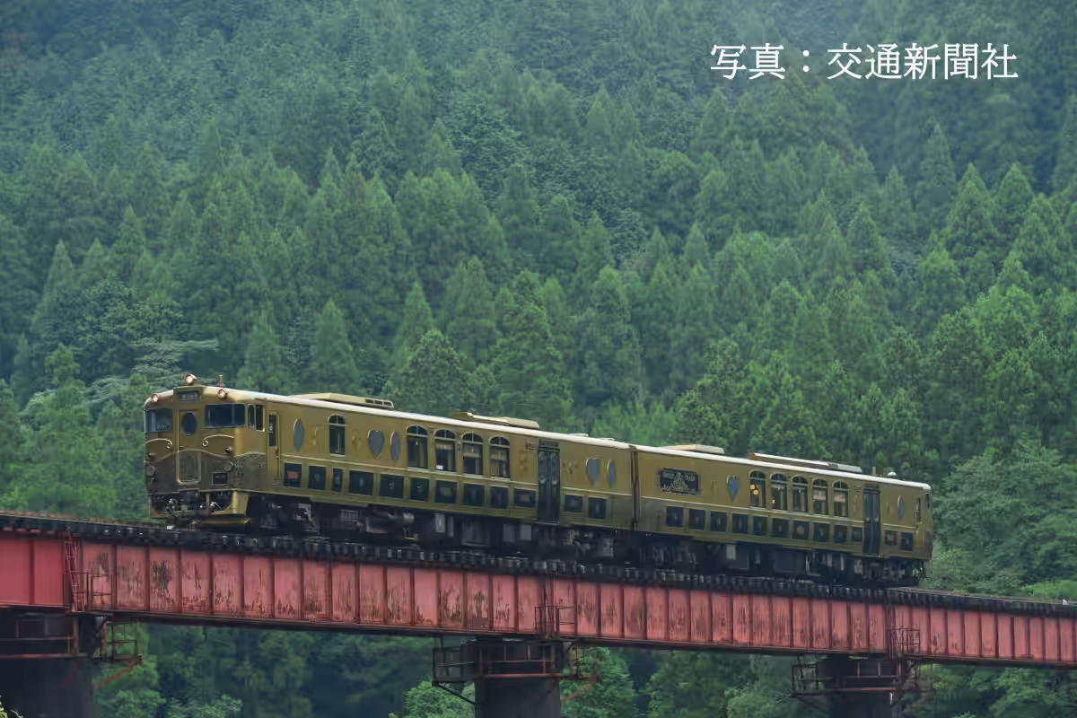 画像14