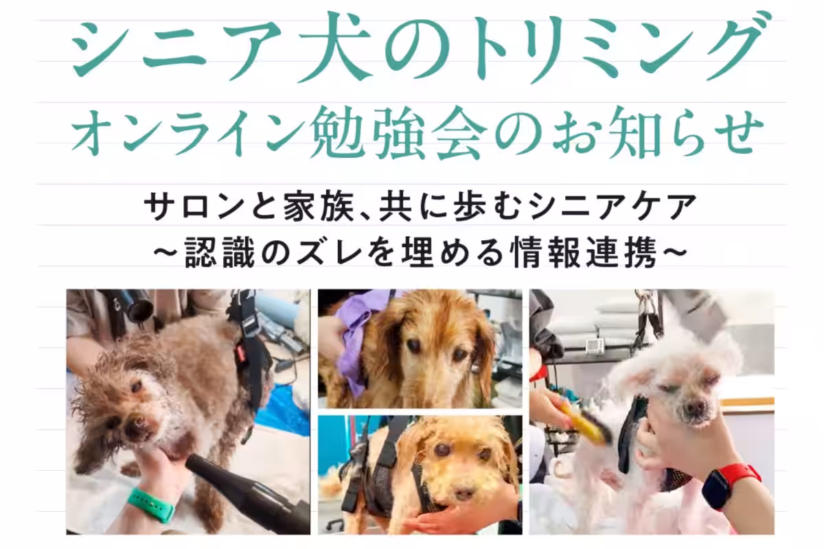 画像8