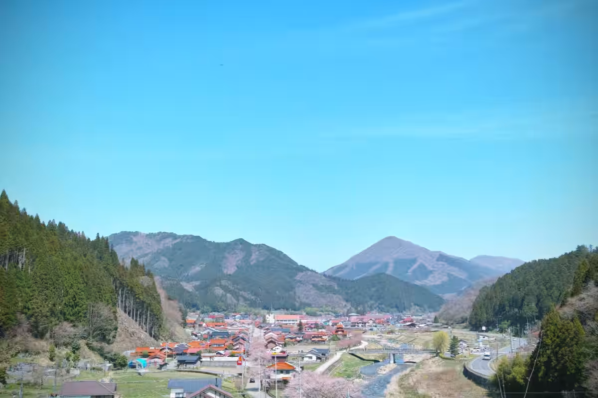 画像6