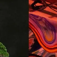 盆栽とアートの融合