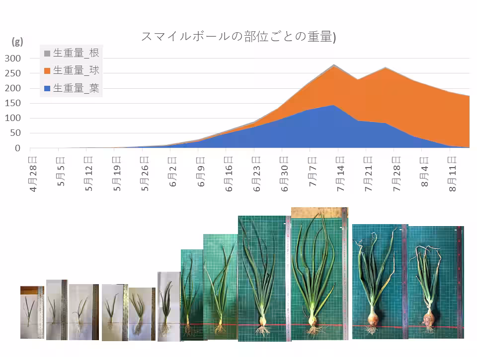 画像6