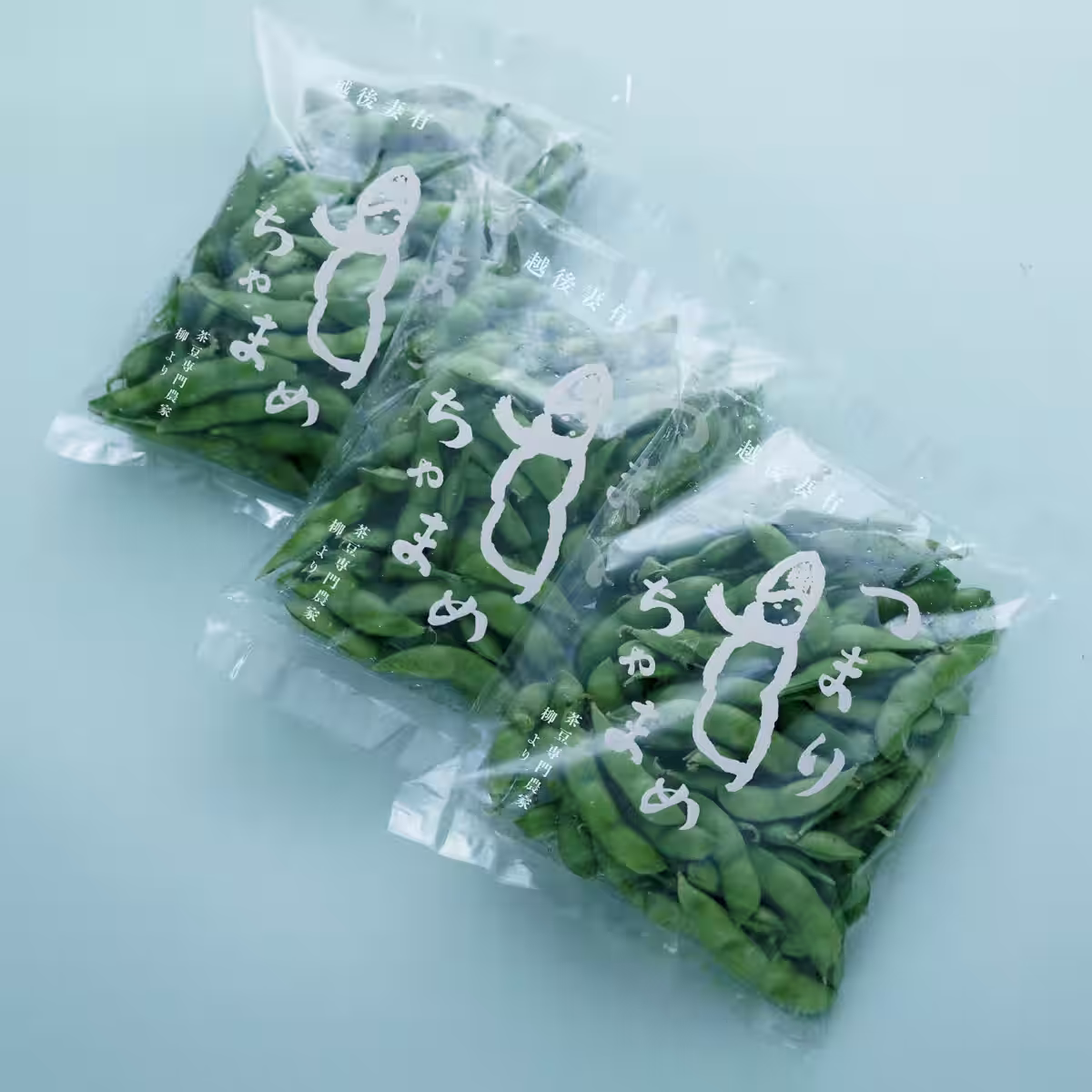 画像9