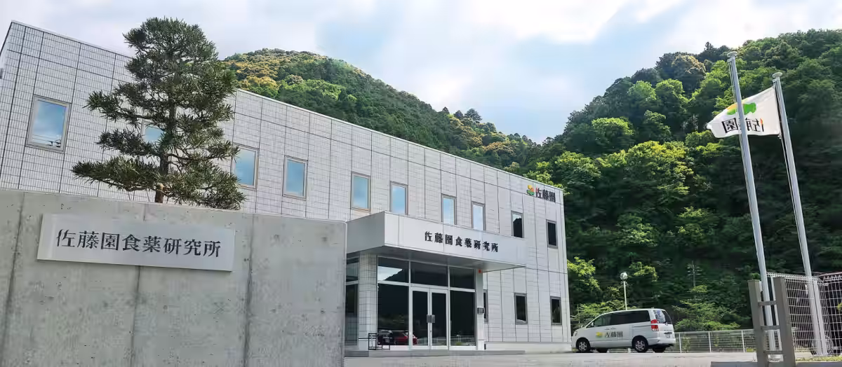 画像11