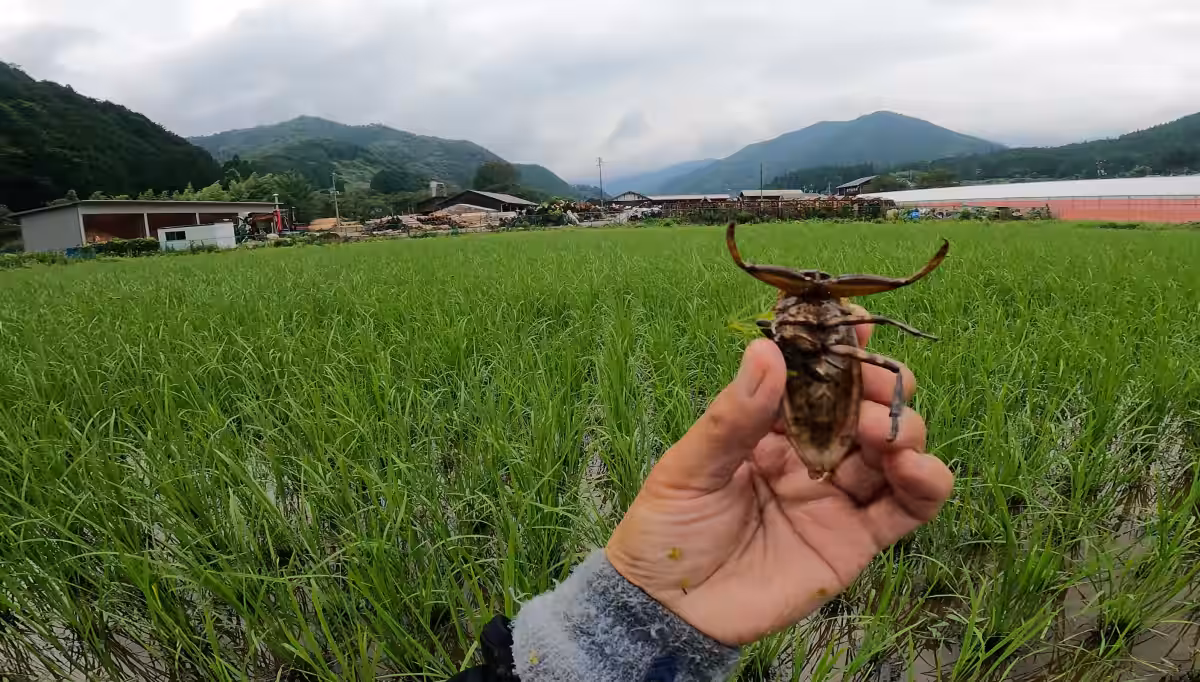 画像9