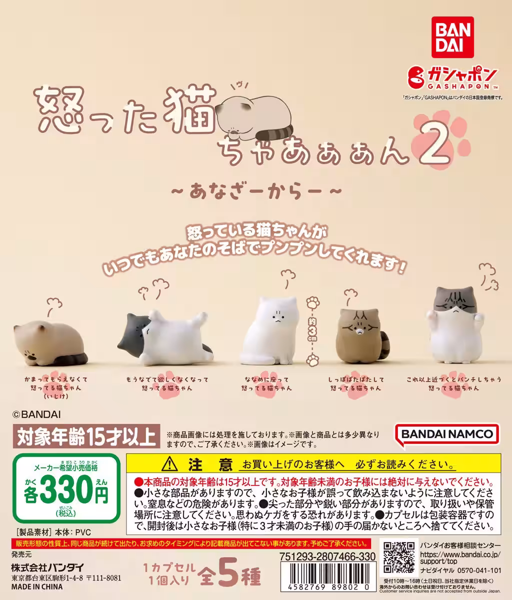 画像5