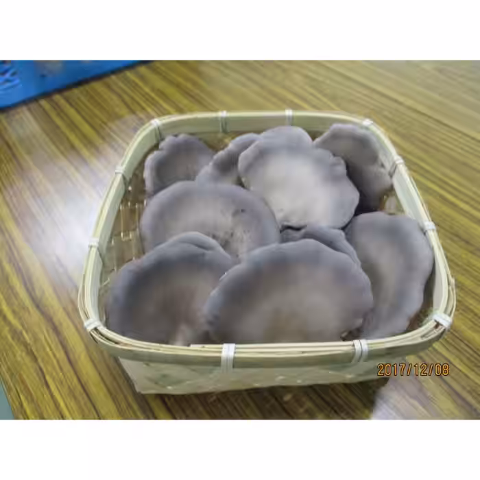 画像14