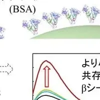 ナノ粒子とタンパク質