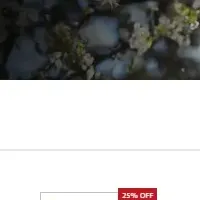 エルゼビア　通販サイト