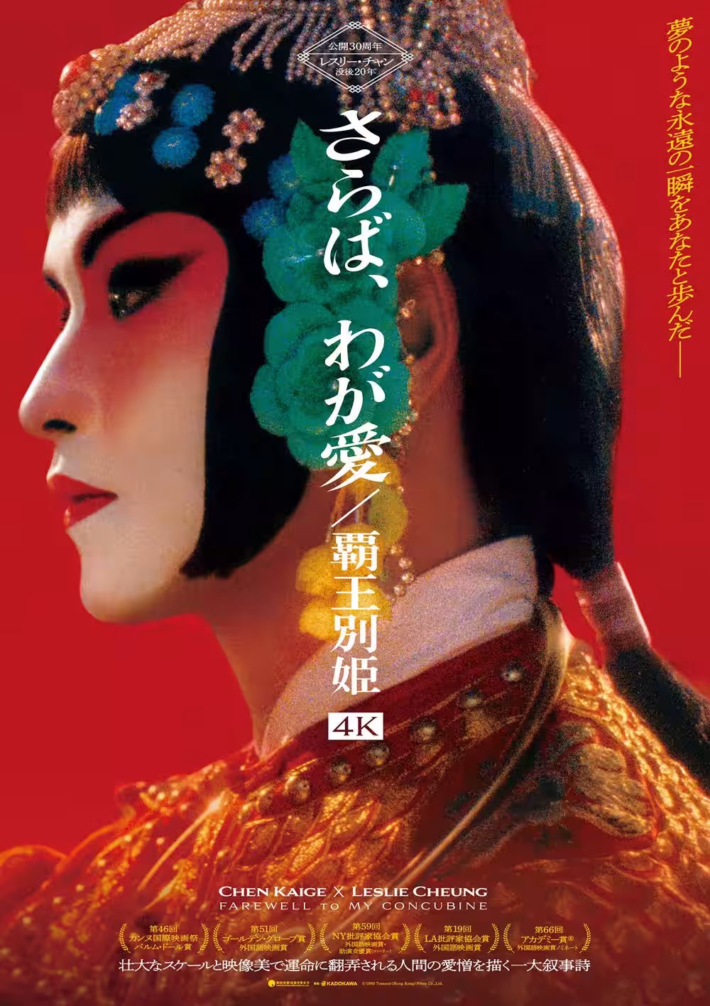 画像11