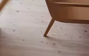 画像12
