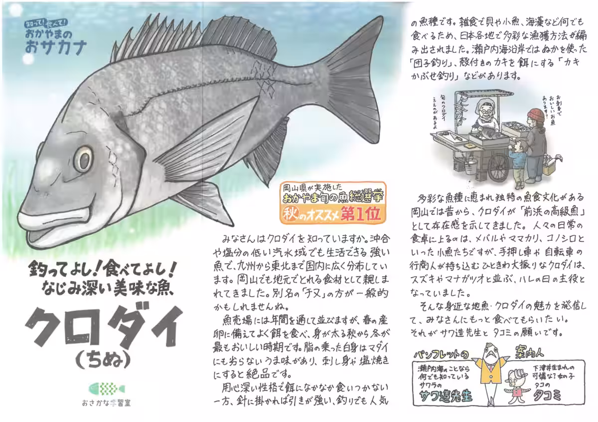 画像9