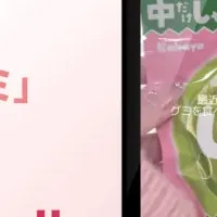 「しゃりinグミ」の成功