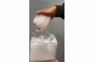 画像17
