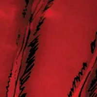 ワンパンマンコラボ