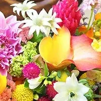 Sakaseruの花アレンジ