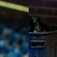 ケロッグとチートスのフィギュア