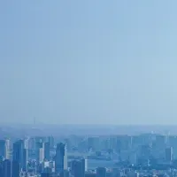 ウェブサイトリニューアル