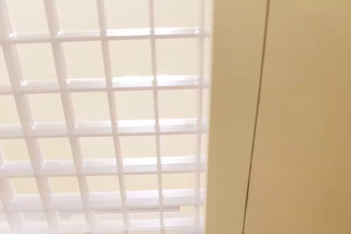 画像14