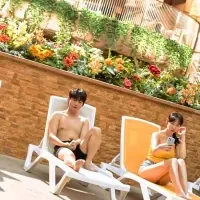 夏の特別プラン