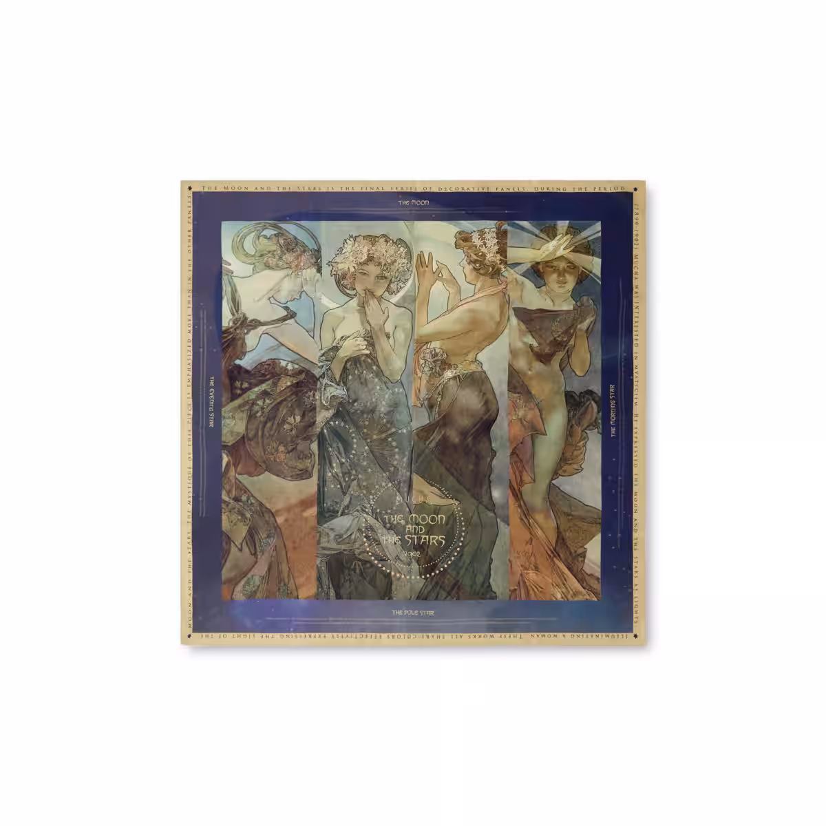画像12