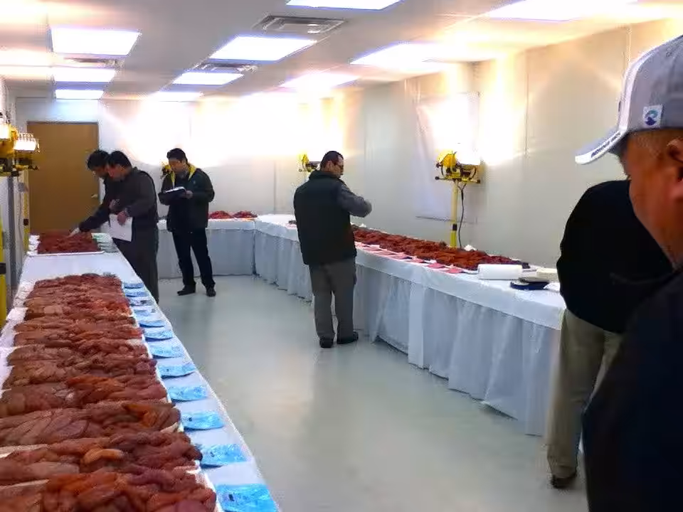 画像12