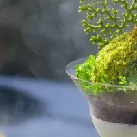 星野リゾートのパフェ