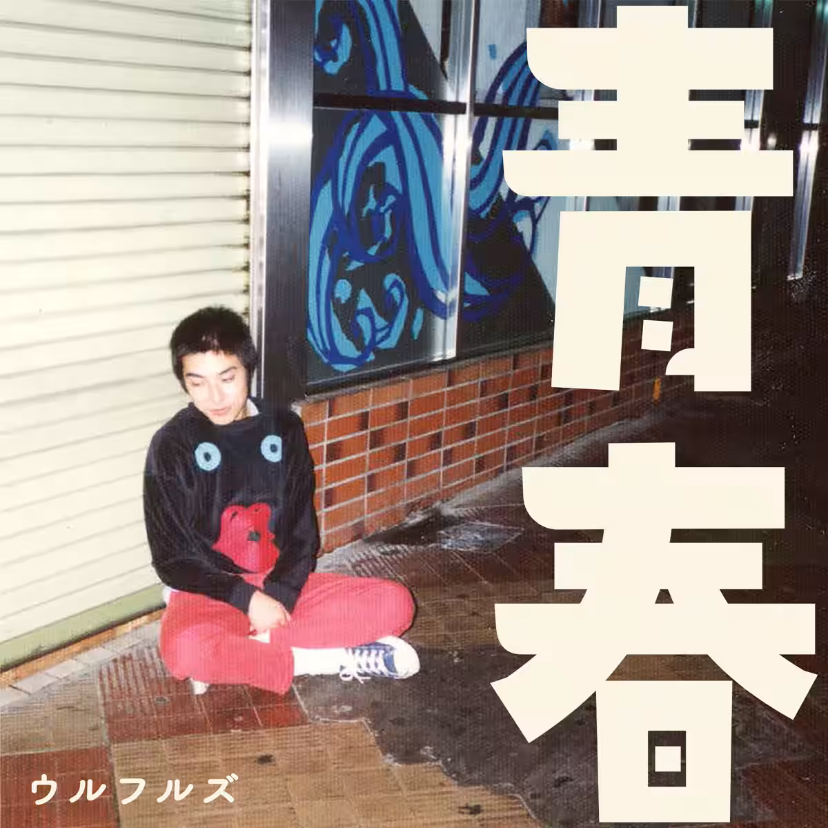 画像6