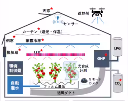 画像8