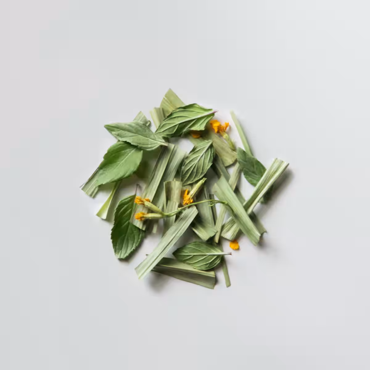 画像10