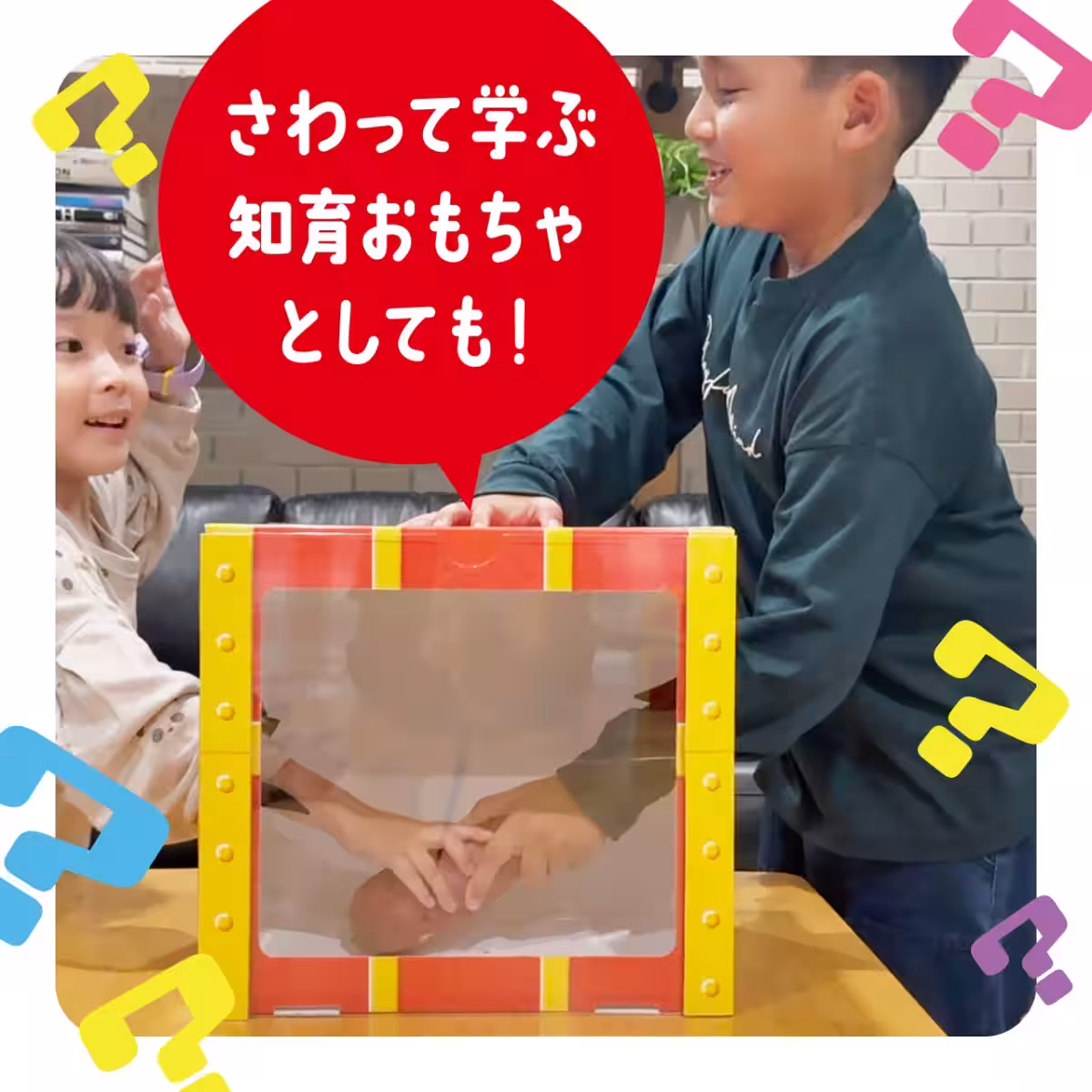 画像7