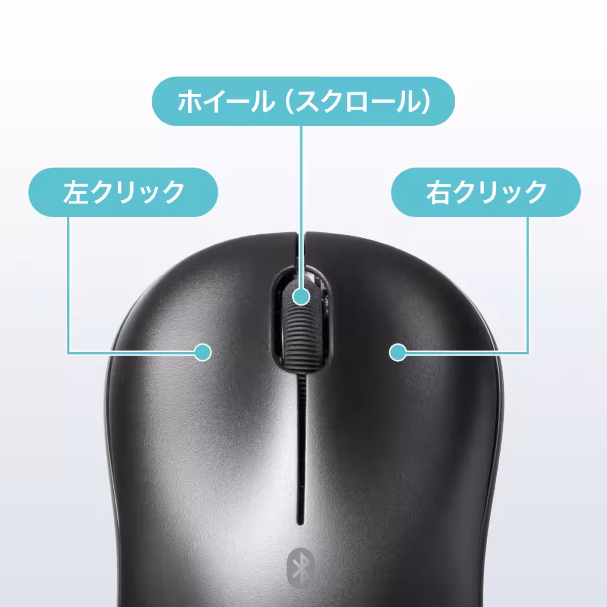 画像11