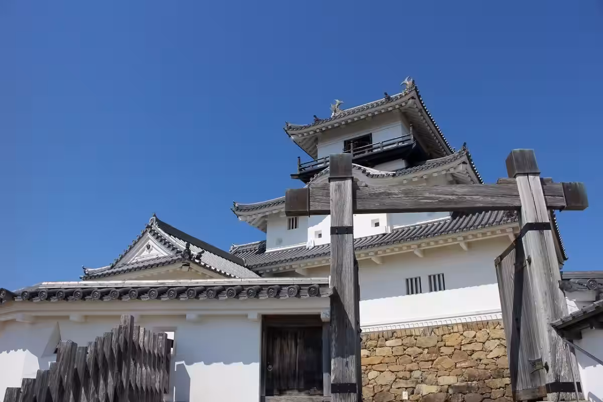 画像8