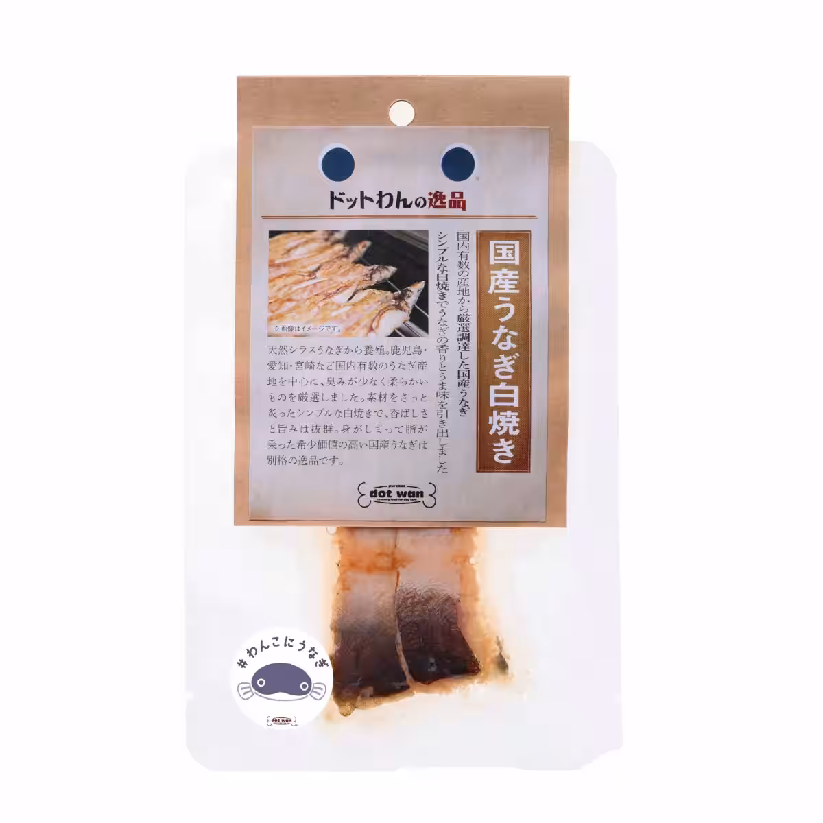画像15