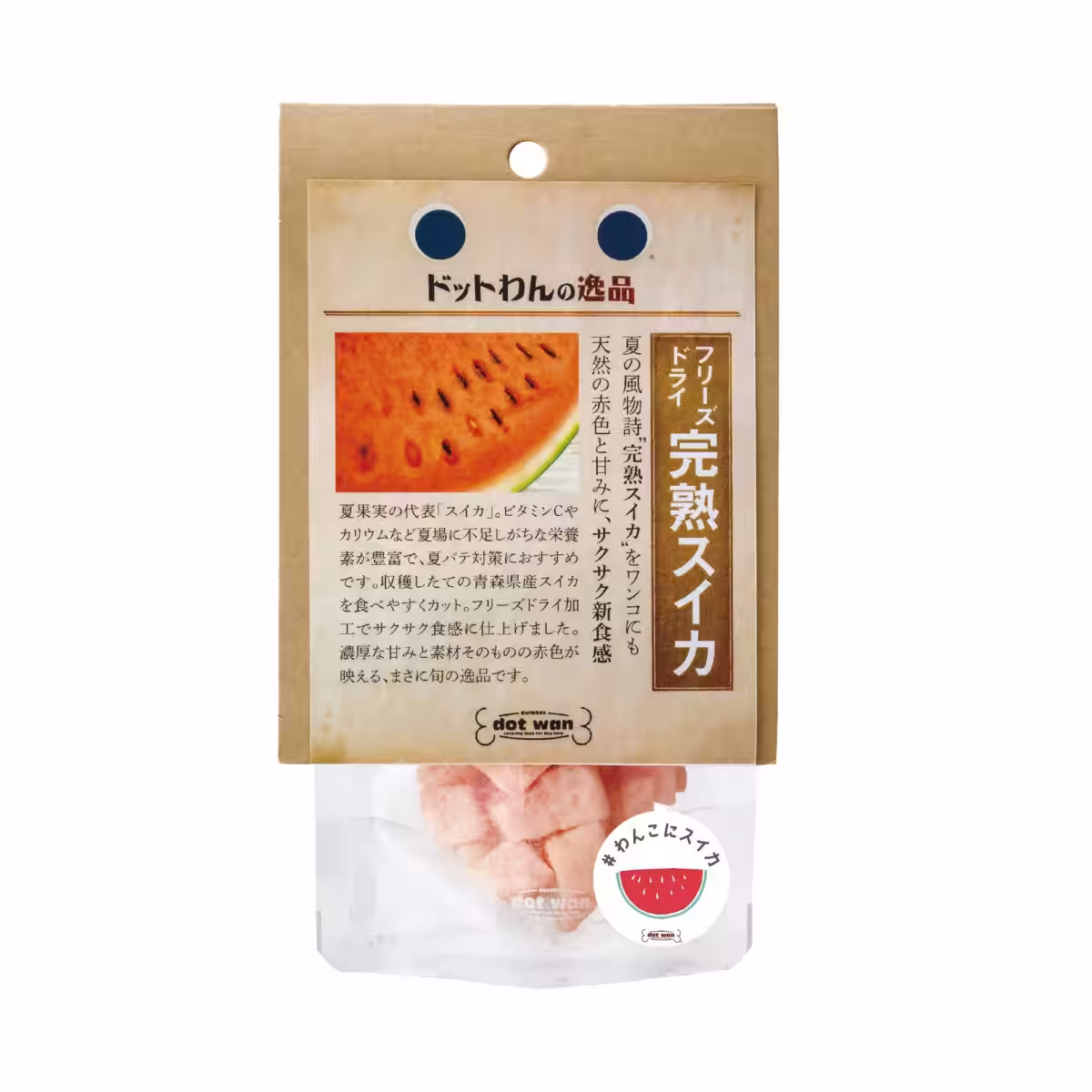 画像14
