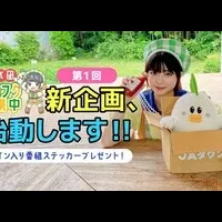 根本凪の農福連携