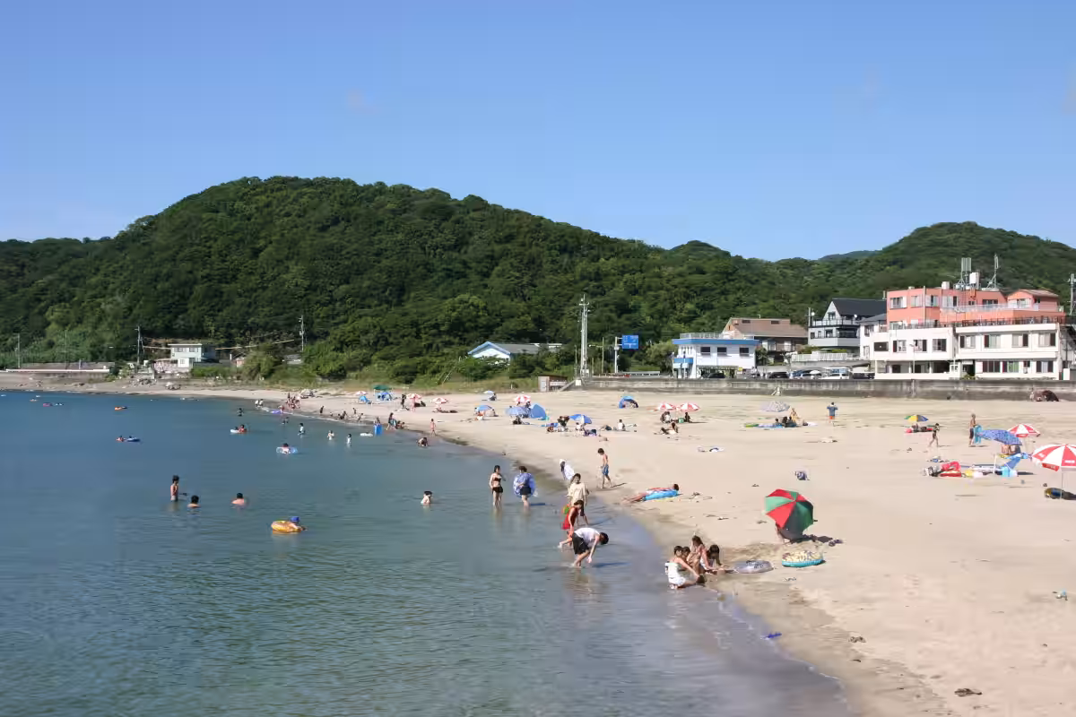 画像5