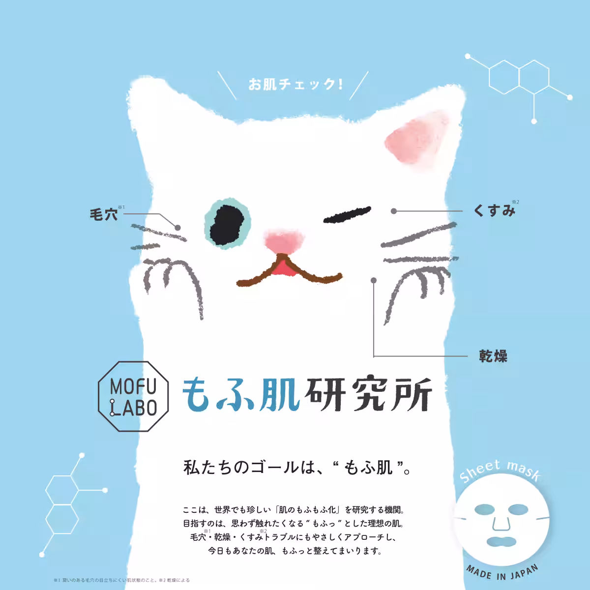 画像15