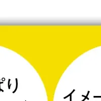 フリーランス法律本