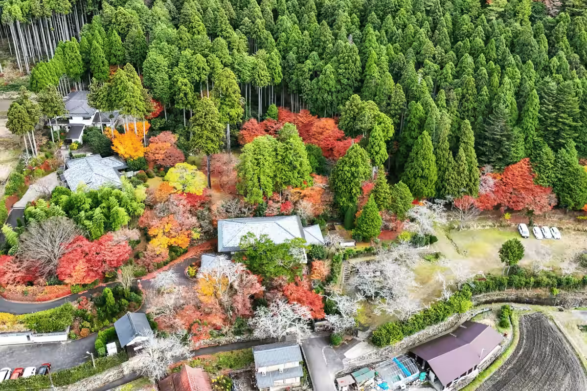 画像6
