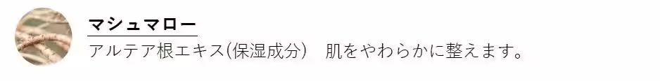 画像17