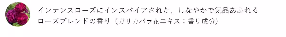 画像12