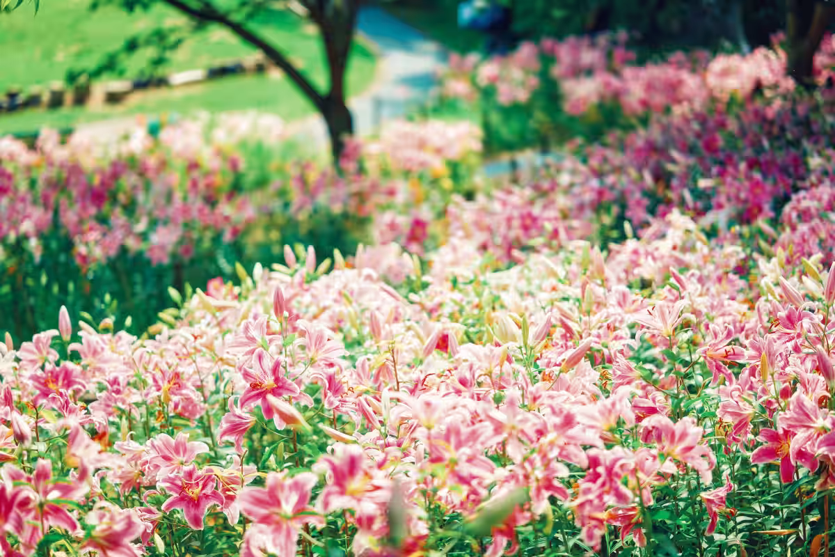 画像10