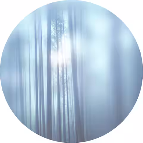 画像16