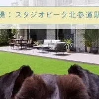 愛犬との思い出作り