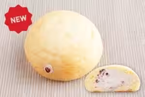 画像15