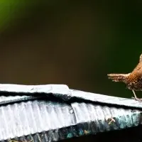 高橋直暉写真展
