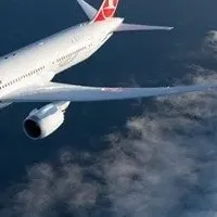 ターキッシュの特売